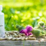 Essenzielle Nährstoffe: 6 für Top-Gesundheit & Power?