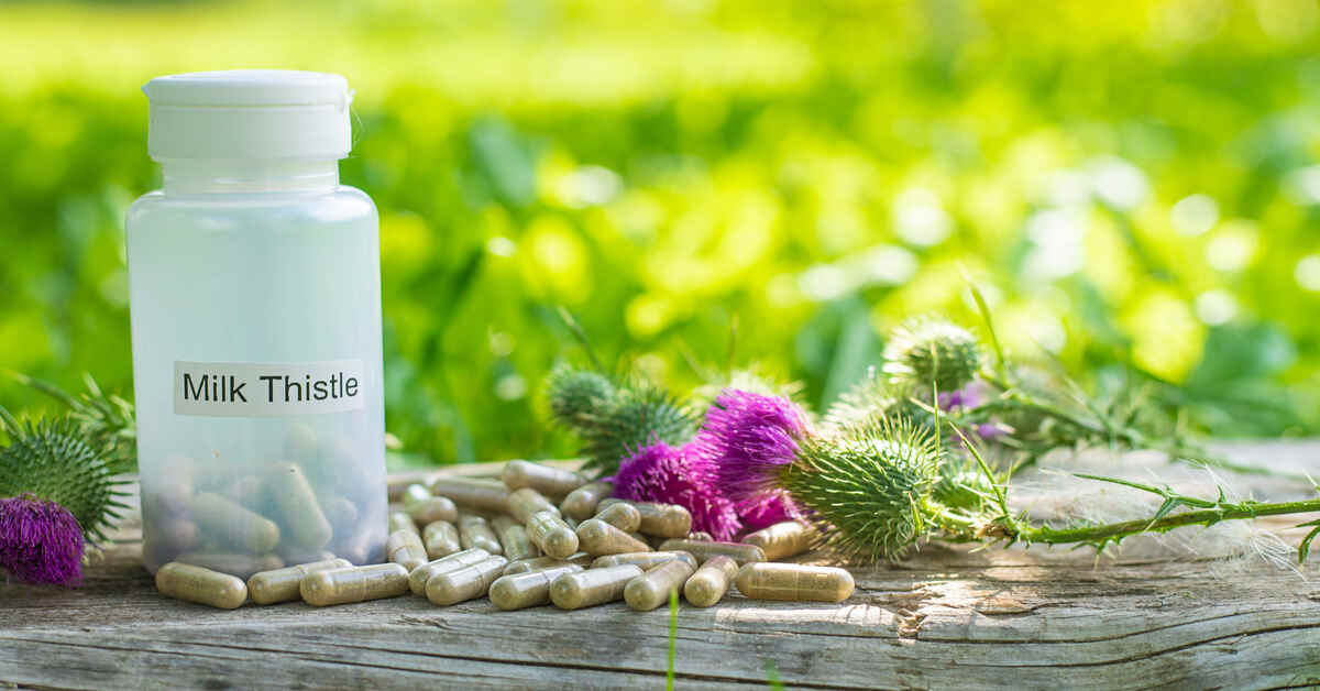 Essenzielle Nährstoffe: 6 für Top-Gesundheit & Power?